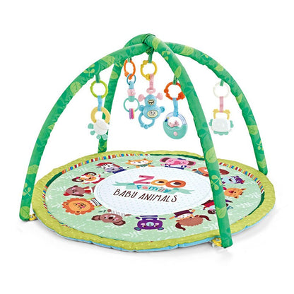 Multifunctional Frame For Children